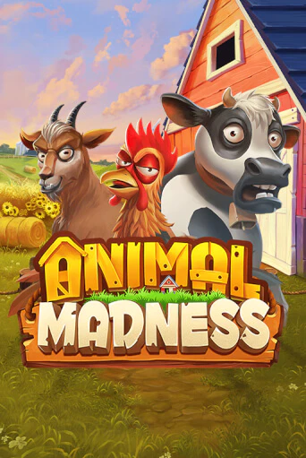 Animal Madness от Play'n GO демо версия | VAVADA без регистрации