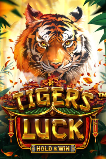 Tiger's Luck - Hold & Win от BetSoft демо версия | VAVADA без регистрации