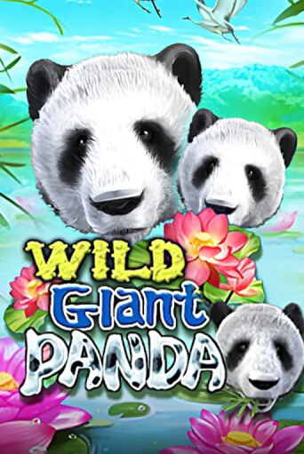 Wild Giant Panda от EURASIAN Gaming демо версия | VAVADA без регистрации