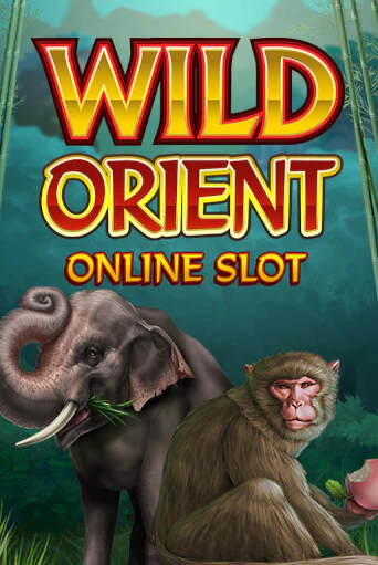 Wild Orient от Microgaming демо версия | VAVADA без регистрации